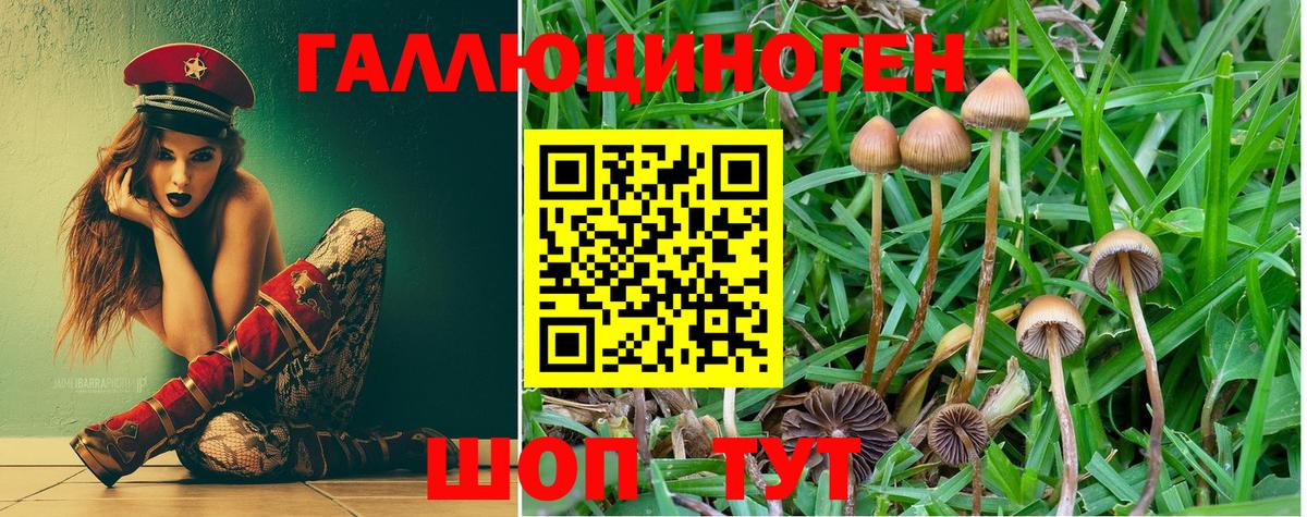Галлюциногенные грибы MAGIC MUSHROOMS Кузнецк